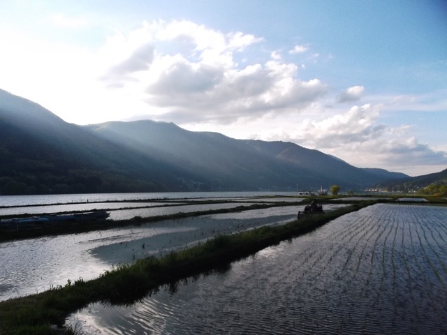 水田と山の影