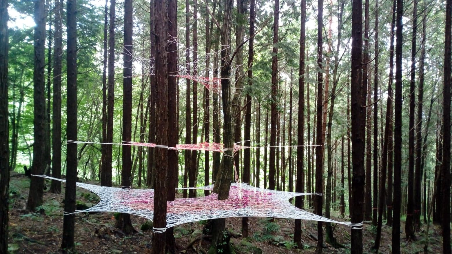 ルア・リヴェラ「三つの視点」 Lua Rivera “Three points of view” 信濃大町あさひAIR